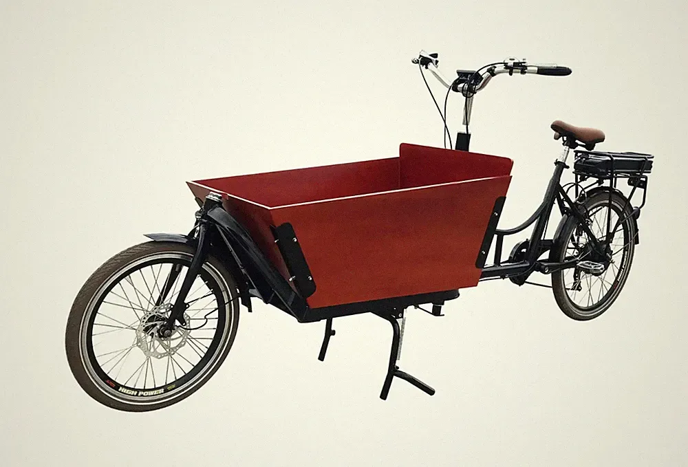 Dutch Family Cargo Bike Bicycle
