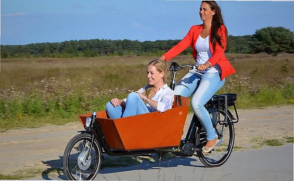 Urban Cargo Bike