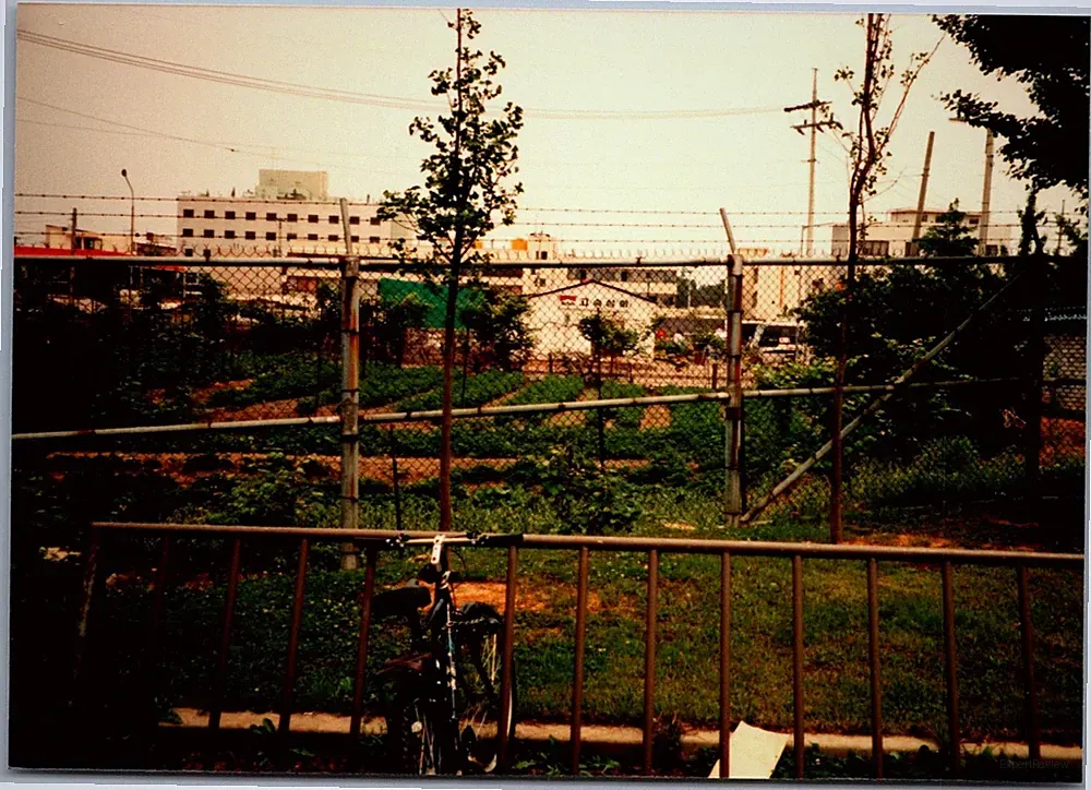 Urban Landscape Bicycle 1980s-1990s Snapshot Photograph Asian City Scene